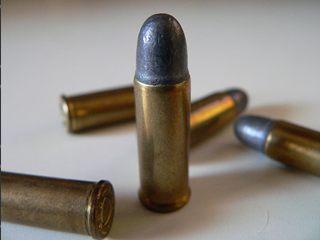 22lr with magazine