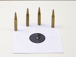 22lr bullets and target